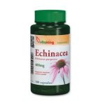 VITAKING- Echinacea 400 mg- 100 db