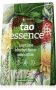 TAO ESSENCE- 210 gr