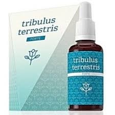 Tribulus Terrestris Forte 30 ml